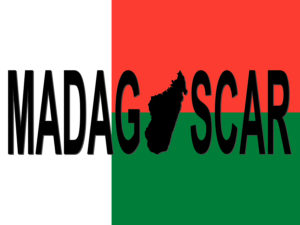 Madagascar text with map on flag illustration
